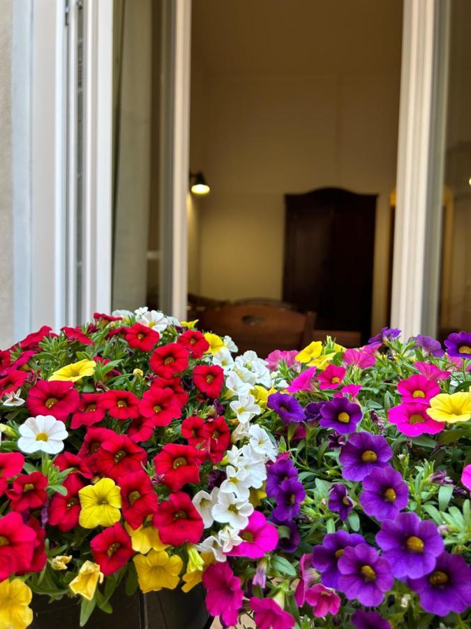 Vicolo 35 Apartments Τράπανι Εξωτερικό φωτογραφία